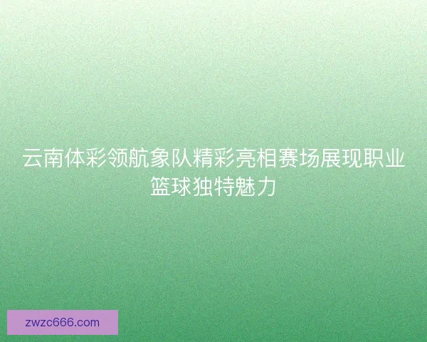 云南体彩领航象队精彩亮相赛场展现职业篮球独特魅力 云南体彩领航象队精彩亮相赛场展现职业篮球独特魅力